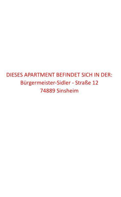 Ermmes Ferienwohnungen Sinsheim Zewnętrze zdjęcie